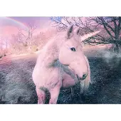 Papermoon Fototapete "Unicorn", bunt, B:4m L:2,6m, Vlies, Tapeten, Fototapete