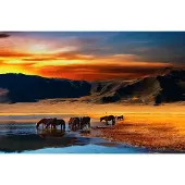 Papermoon Fototapete "Mongolian Horses", bunt, B:2,5m L:1,86m, Vlies, Tapeten, Fototapete