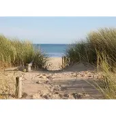 Papermoon Fototapete "Dunes in Dorset", bunt, B:2,5m L:1,86m, Vlies, Tapeten, Fototapete