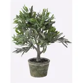 Gasper Kunstpflanze Olivenbäumchen, im Topf, Höhe 36 cm