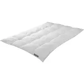Badenia irisette Badenia Trendline Comfort 135x200 cm Winterdecke, Daunen-Kassettendecke warm
