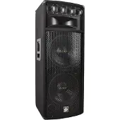 Dibeisi Stage speaker Q1240