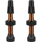 WTB tyres Tubeless-Ventile presta TCS