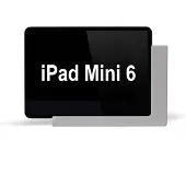 TabLines TWP019S Wandhalterung für Apple iPad Mini 6 (2021), silber