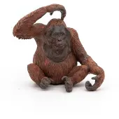 Papo Orang-Utan, 3 Jahr(e), Wild animal kingdom, Braun, PVC