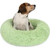 Aspero Tierbett