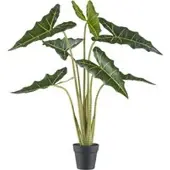 Pflanzen-Kölle Künstliche Alocasia zebrina 'Sarian', Höhe ca. 100 cm