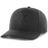 47 Low Profile Zone Anaheim Ducks