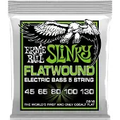 Ernie Ball 2816 Regular Slinky 5