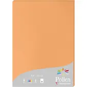 Pollen Papier