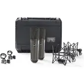 Warm Audio WA-87 R2 TS Stereo-Paar LTD Titanium