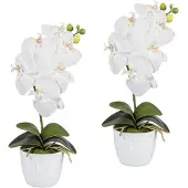 Creativ Green Kunstpflanze "Orchidee Phalaenopsis", weiß, H:40cm, Kunststoff, Polyester, Kunstpflanzen, Kunstpflanze, im Keramiktopf