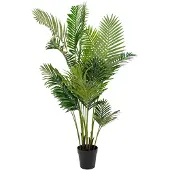 House Nordic | Art Gold Palm Areca Grün Plastik 64x64x175 cm | NADUVI