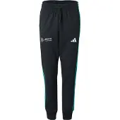 Adidas Herren Hose MERCEDES - AMG PETRONAS FORMULA ONE TEAM DNA HOSE
