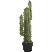 Beliani Cactus