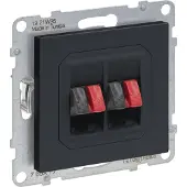 Legrand SEANO Lautsprecher-Anschluss 2-fach mit Federklemmen (Rot/Schwarz), Anthrazit, 765477