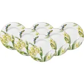 Villeroy & Boch Frühstücksteller "Frühstücksteller Amazonia Anmut ø 22,5 cm 6er Set bunt"