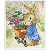 Craft Buddy CAM-PRBT01 - Peter Rabbit Frame Kit 21x25cm / / Spiel