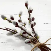 Duni 240 Tissue-Servietten 33 x 33 cm Wild Willow 3-lagig