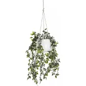 Vente-unique Kunstpflanze Bahiana Grün Weiß 20 cm