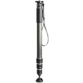 Gitzo GM4542 Monopod Series 4 Carbon 4 Sektionen