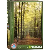 Eurographics Forest Path 1000pcs, 1000 Stück(e), Landschaft
