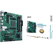 Asus Pro B550m-c/csm Hauptplatine
