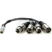Atomos XLR Breakout Cable (in / out)
