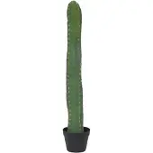Europalms Mexikanischer Kaktus