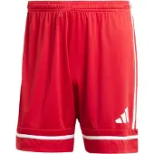 Adidas Shorts Squadra25