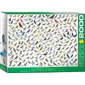 Eurographics Puzzle Welt der Vögel 2000 Teile