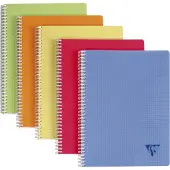 Clairefontaine Linicolor