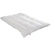 Badenia irisette Kassettendecke Irisette Daunen Nora extra warm Größe 200x200cm
