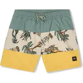O'Neill Kinder Badehose MIX & MATCH CALI BLOCK 13'' SWIM SHORTS