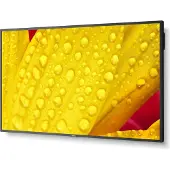 NEC M551-2 55IN UHD 500CD/QM