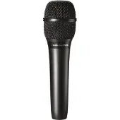 Audio-Technica At2010
