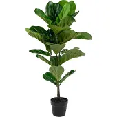 House Nordic | Künstliche Pflanze Ficus grün Plastik 46x36x100 cm | NADUVI
