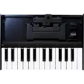 Roland K-25m Keyboard für Boutique-Serie
