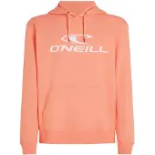 O'Neill Logo Kapuzenpullover