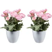 Creativ Green Kunstblume "Ranunkel"