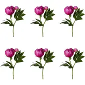 Creativ Green Kunstblume "Peonie"