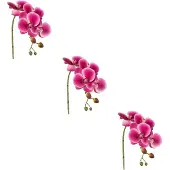 Creativ Green Kunstblume "Phalaenopsis 3D-print" mit Real-Touch-Blüten