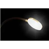 Holtkötter Flex T LED-Tischleuchte-Messing/Schwarz-mit LED (2700K)
