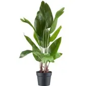 Pflanzen-Kölle Künstliche Strelitzia nicolai, Höhe ca. 70 cm