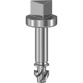 Schneider Dreieck-Schraube Sbm 3mm Nsyaedstsb