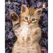 Trixie Kalender Kätzchen