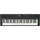 Roland Keyboard GO:Keys5 Graphit mit Keyboardständer