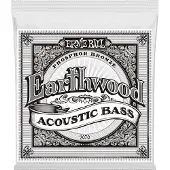 Ernie Ball Earthwood 2070 Akustikbass festlegen