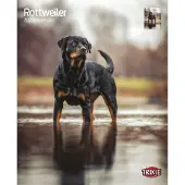 Trixie Kalender Rottweiler