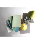Rhodia Notizbücher und Notizhefte Rho